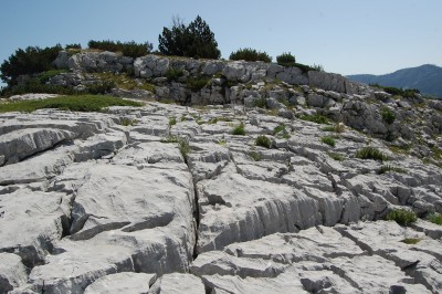 Limestone pavement at Mt. Čvrsnica